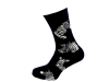 DSCN3404.png