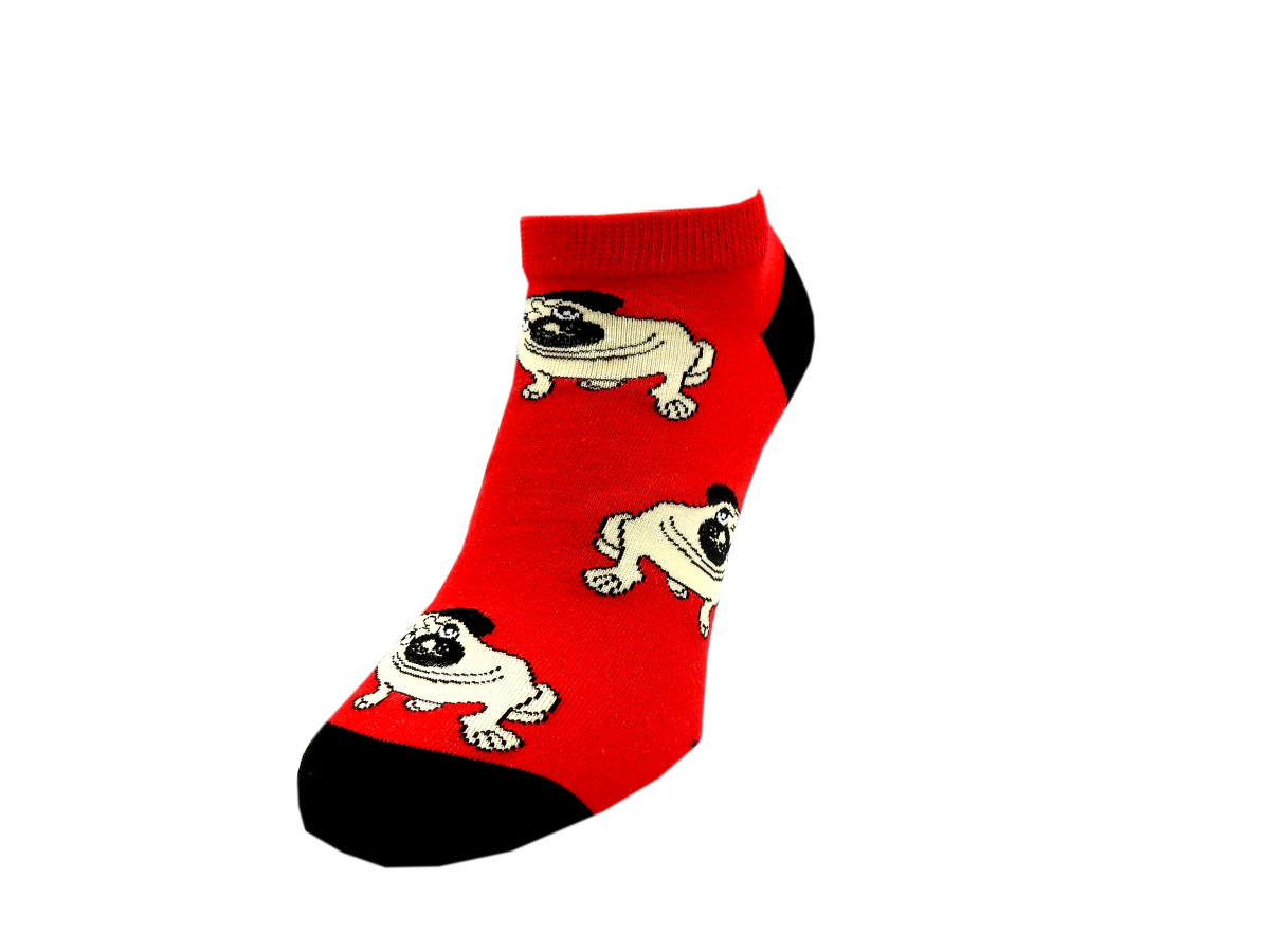 DSCN2576.png