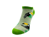 DSCN2578.png