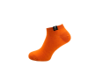 DSCN4858.png
