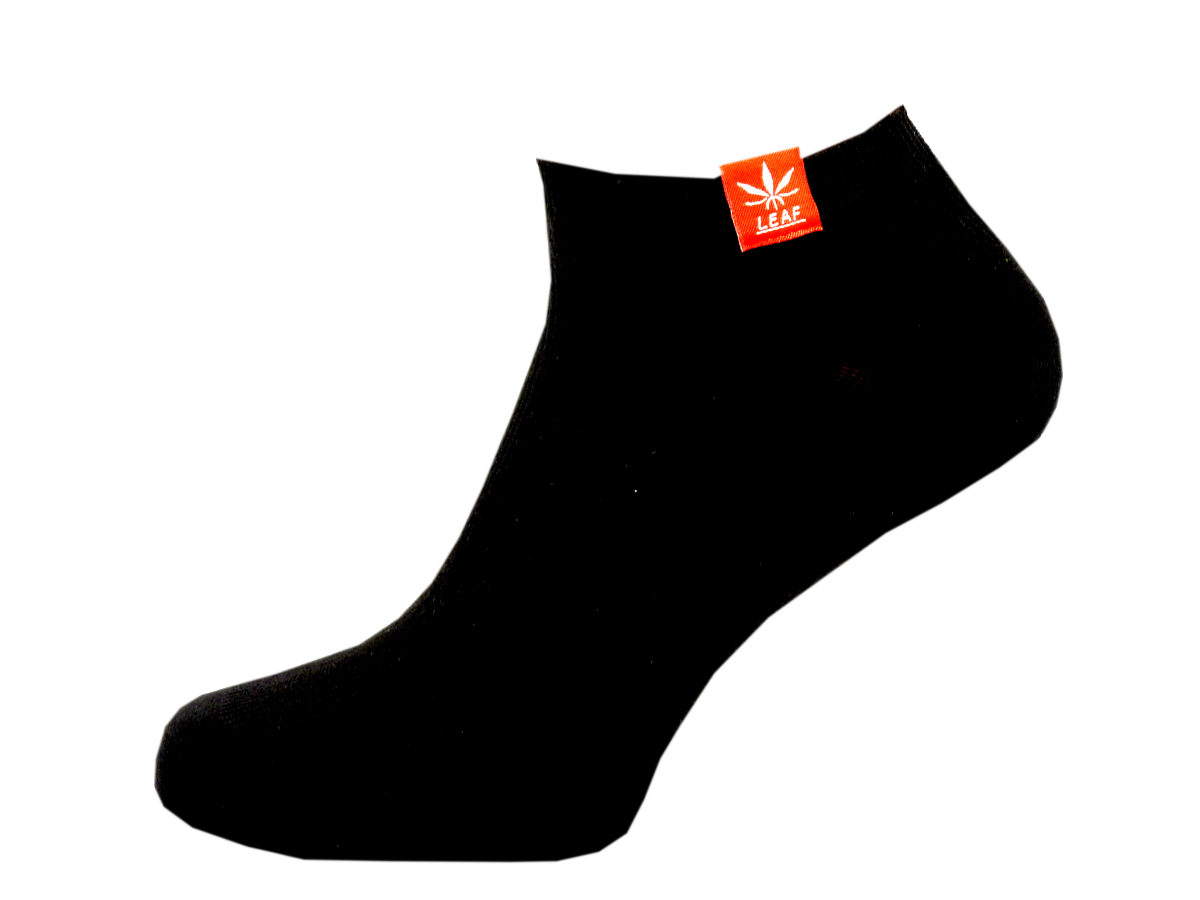DSCN3052.png